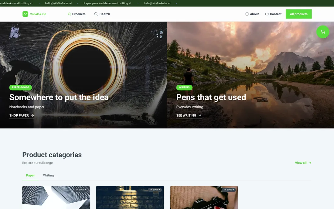 Cobalt & Co — generated storefront